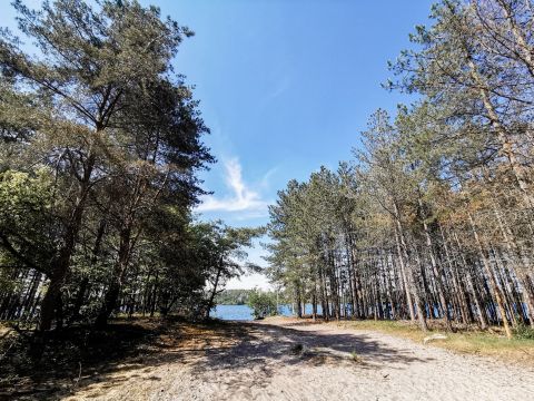 IMG 20200518 154539 365186809810421